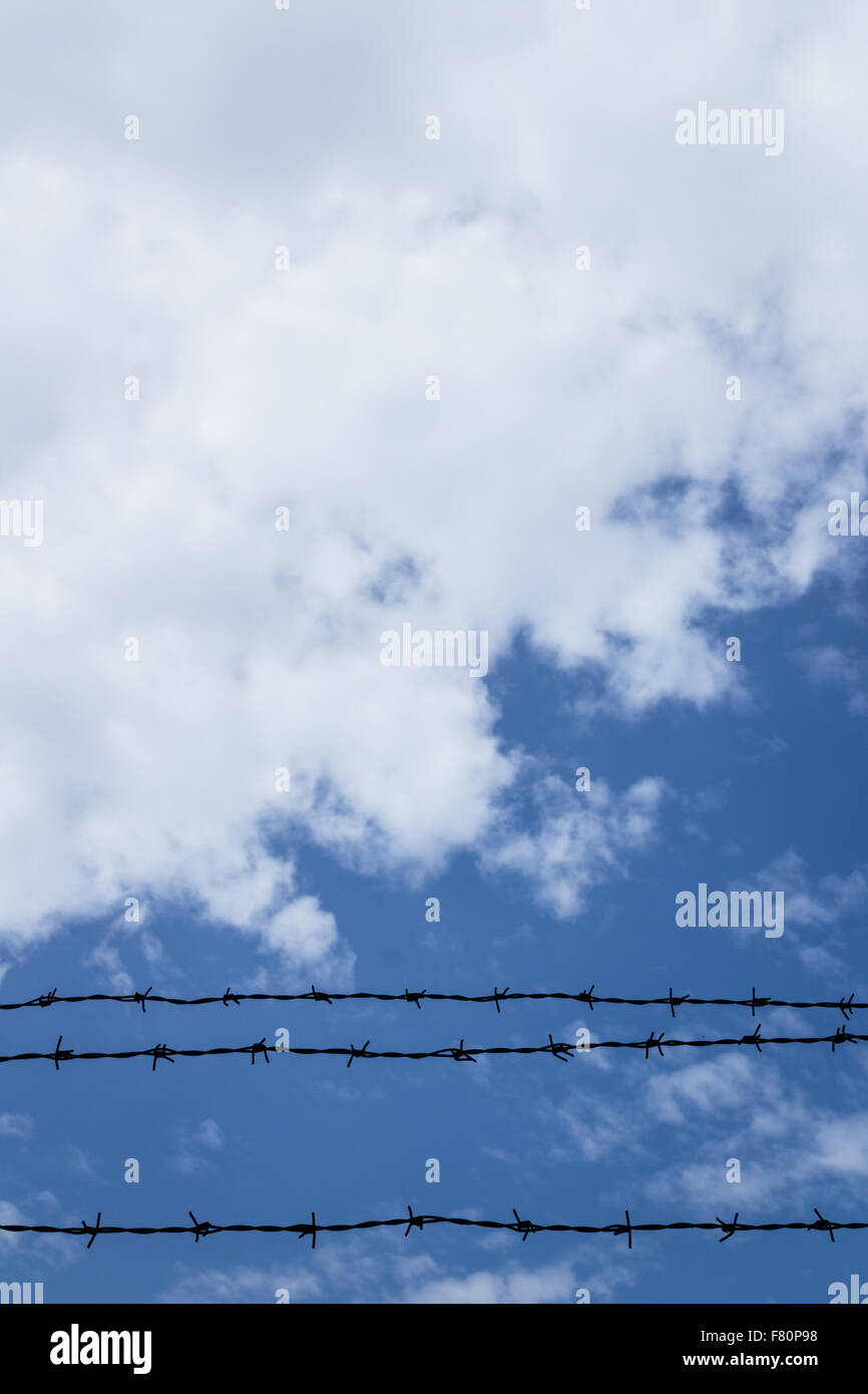 Barbed wire fence with blue sky and clouds in the background Stock ...