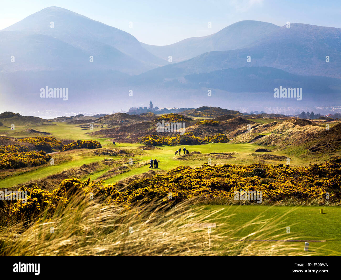 Royal co down hi-res stock photography and images - Alamy