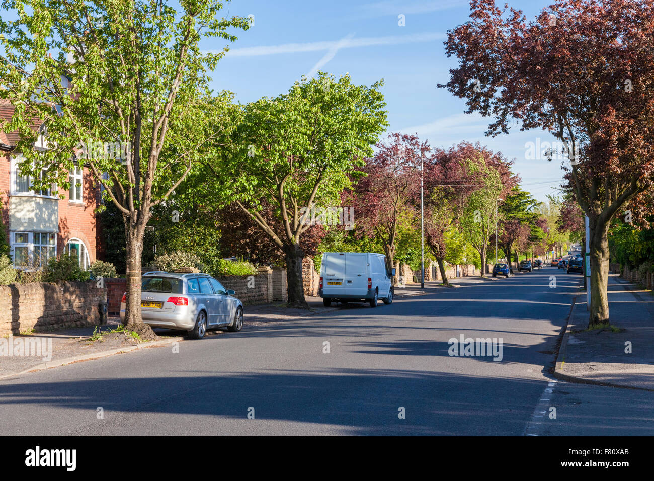 A variety of trees in Spring on a residential tree-lined road, West Bridgford, Nottinghamshire, England, UK Stock Photo