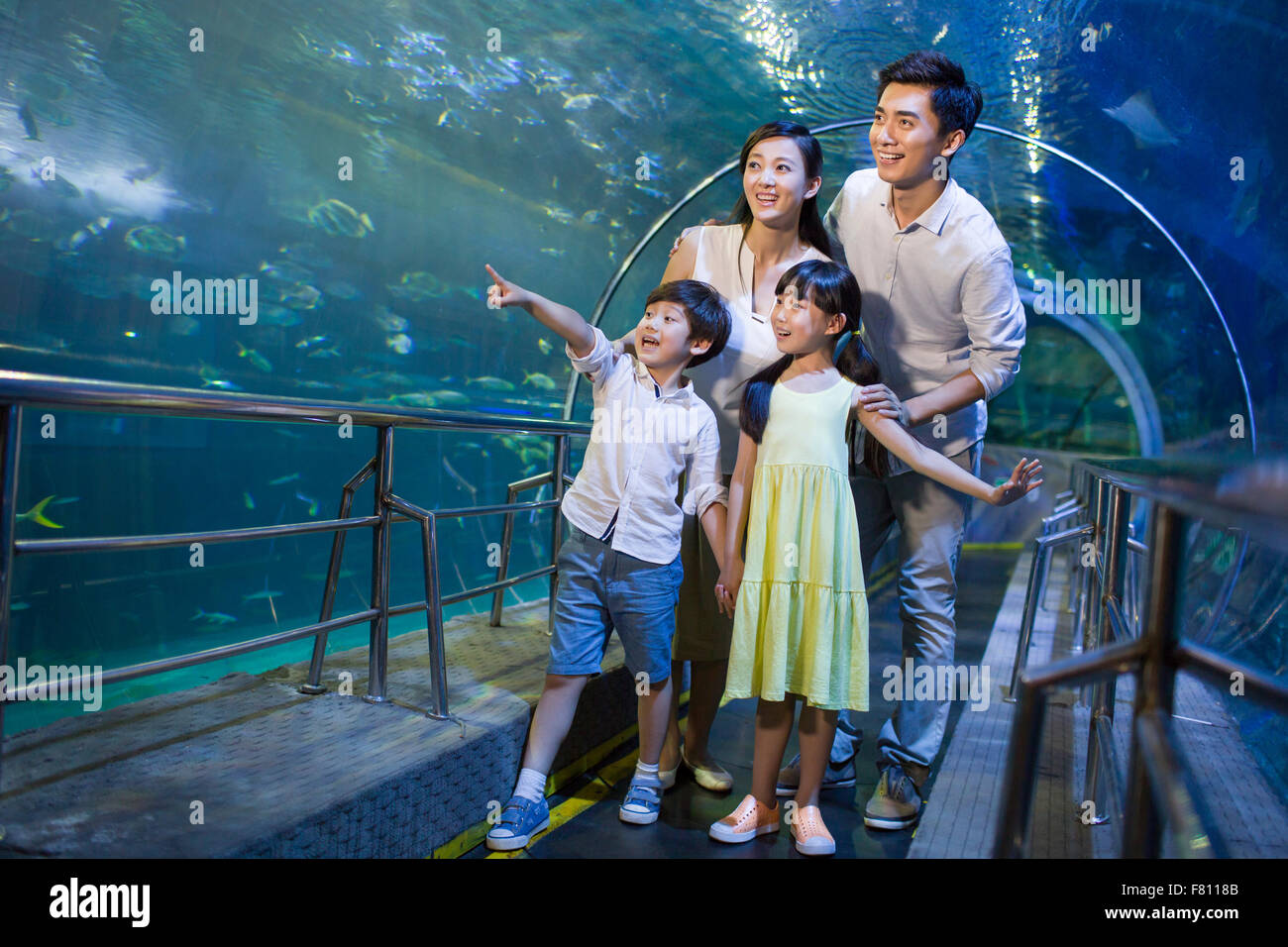 Young family in aquarium Stock Photo Alamy