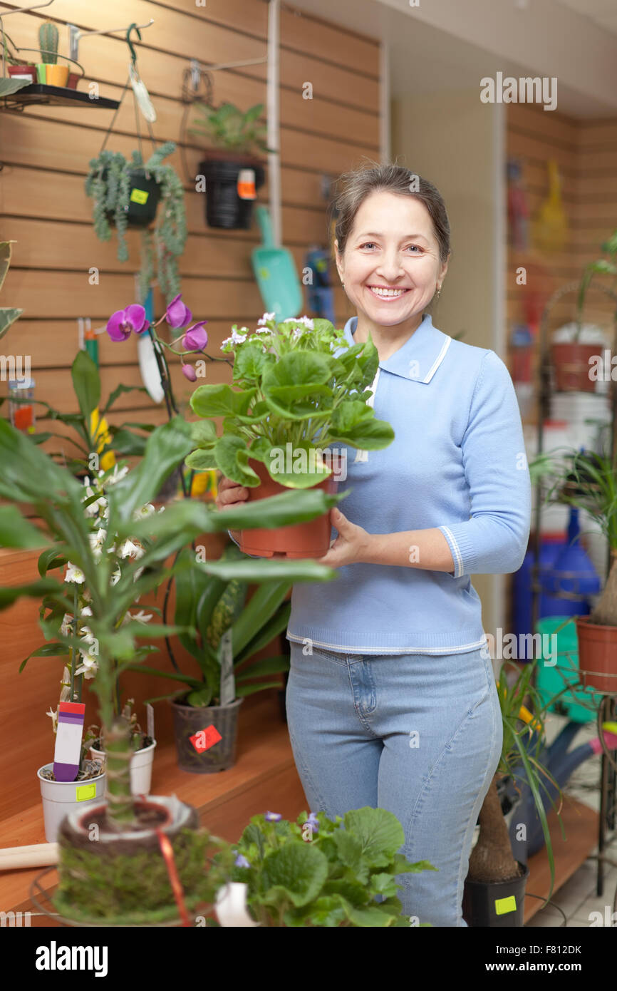 Woman with auricula flower in flower store Stock Photo