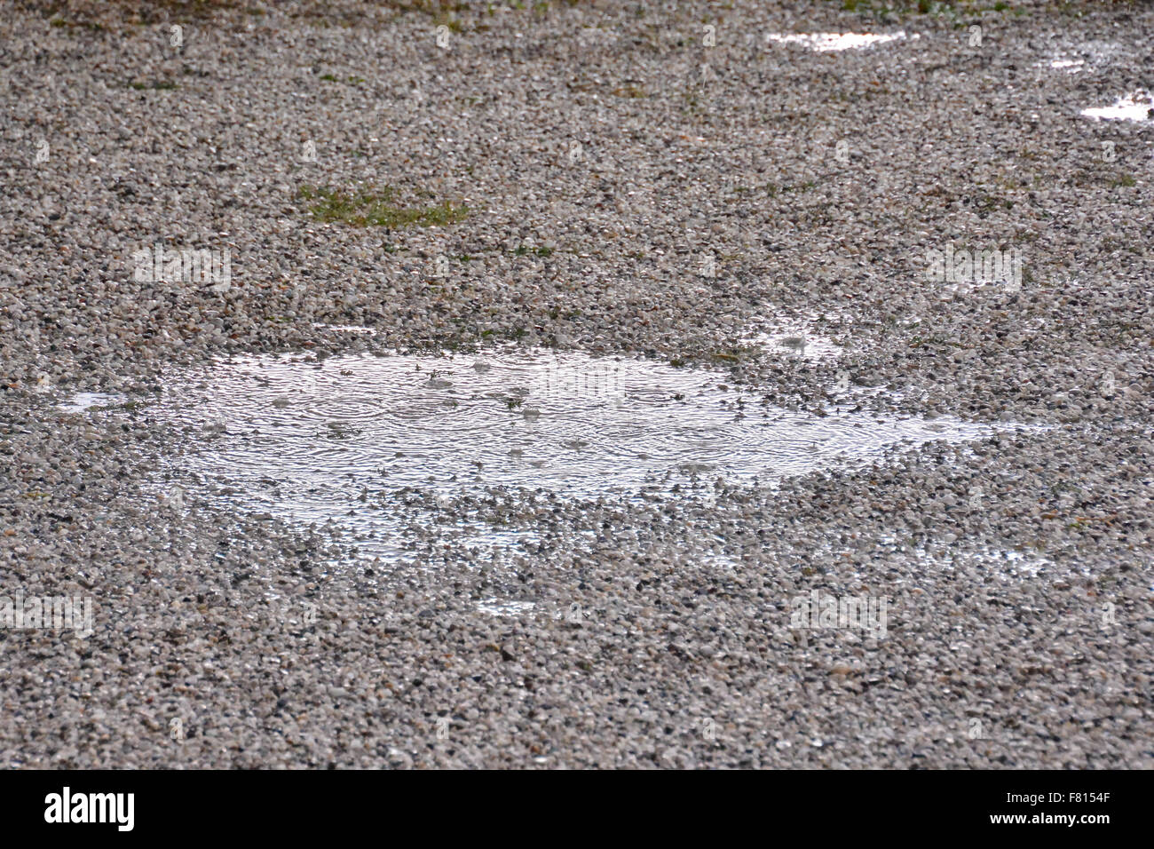 Puddle of water and raindrops Stock Photo - Alamy
