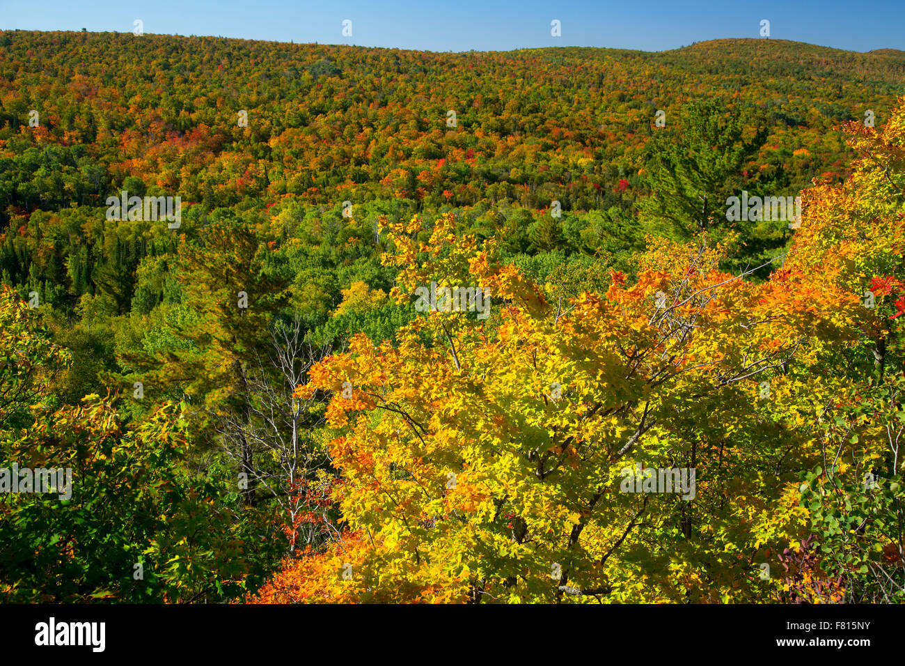 Forest view, Brockway Mountain Drive, Keweenaw Heritage Site, Copper Harbor, Michigan Stock