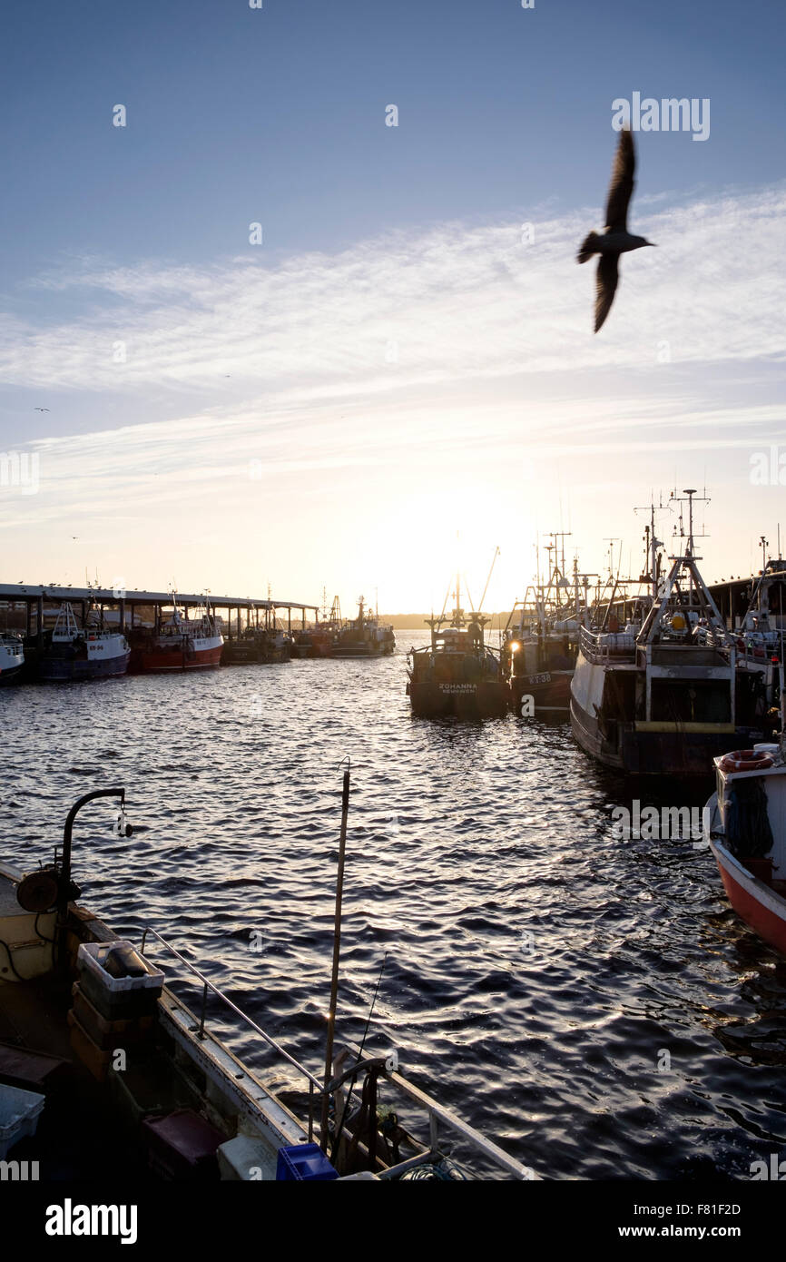 Late afternoon view of the harbour at North Shields Fish Quay, Tyne & Wear, UK. Stock Photo