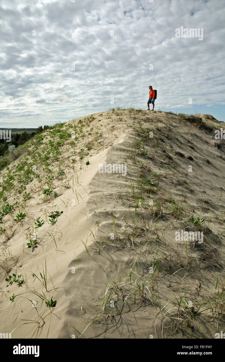 WASHINGTON - Hiker heading cross-country through Juniper Dunes Wilderness area from the summit of one of many small dunes. Stock Photo