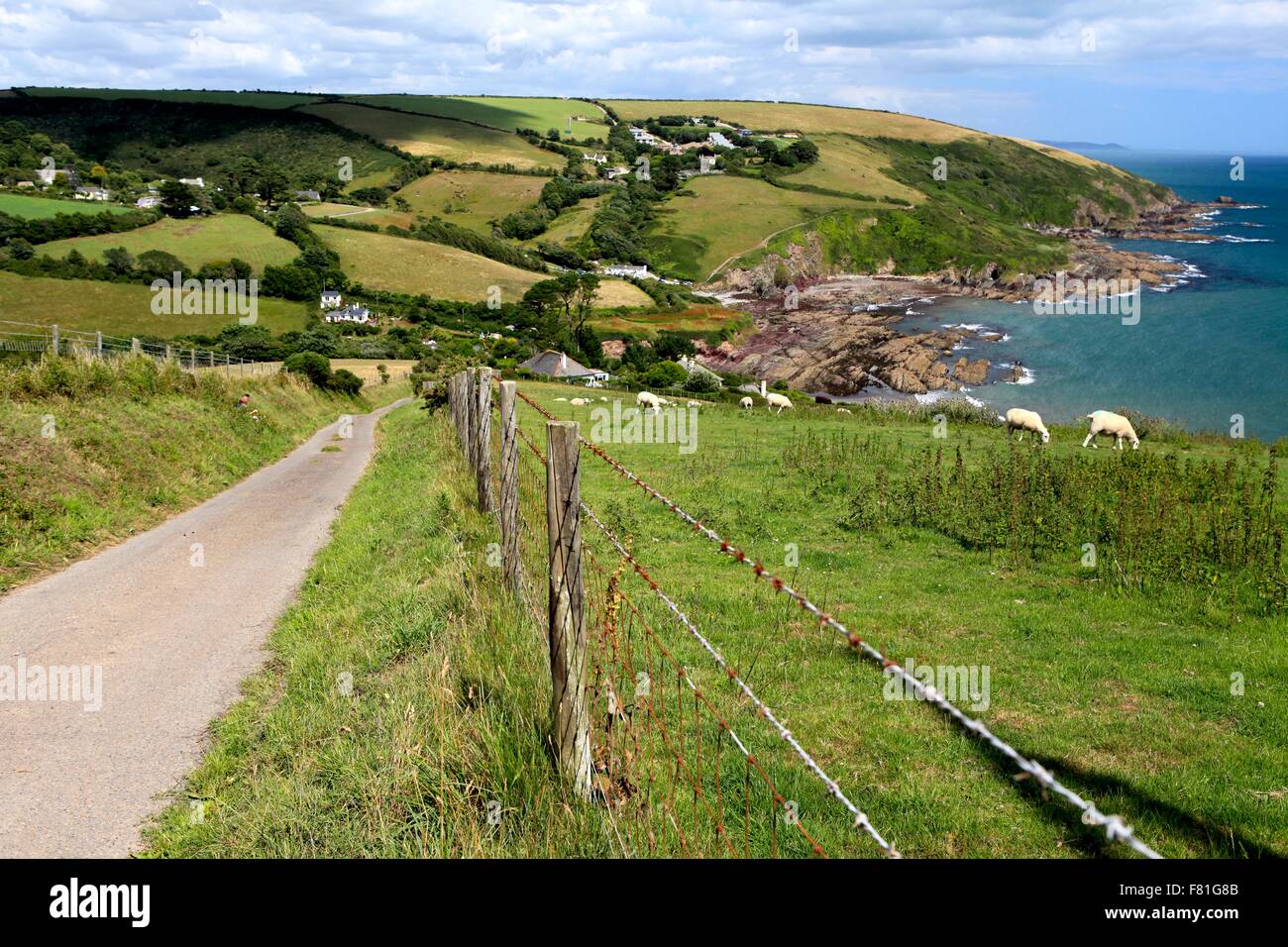 The lane to beautiful Talland Bay, South Cornwall, England, UK Stock Photo