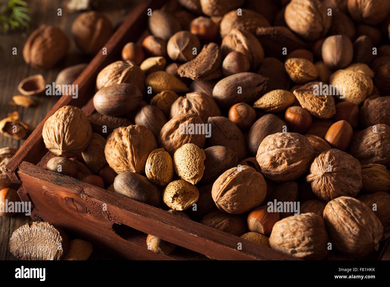 Assorted Mixed Organic Nuts with Walnuts Almonds and Pecans Stock Photo