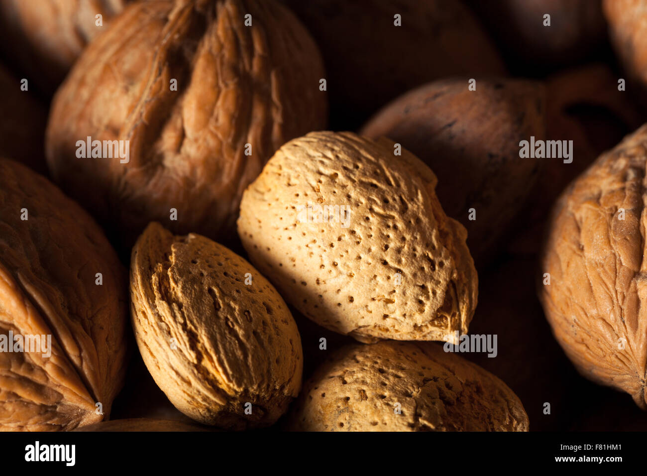 Assorted Mixed Organic Nuts with Walnuts Almonds and Pecans Stock Photo