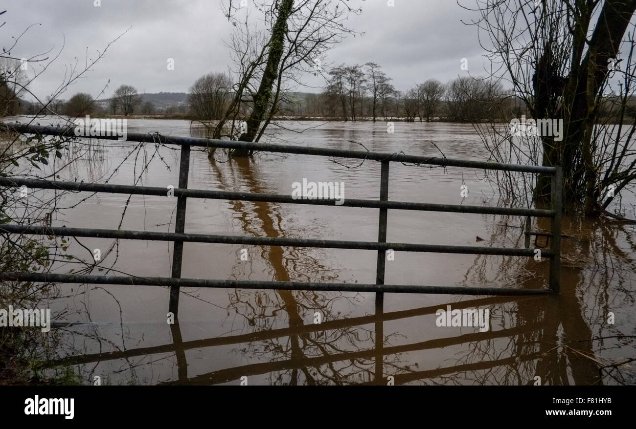 South Wales, UK. 4th December 2015. Prolonged rain falling on saturated land has left low lying agricultural areas flooded. The river Towy bursts its banks flooding surrounding farmland near Carmarthen, south Wales, UK. Viewed from B4300. Credit:  Algis Motuza/Alamy Live News Stock Photo
