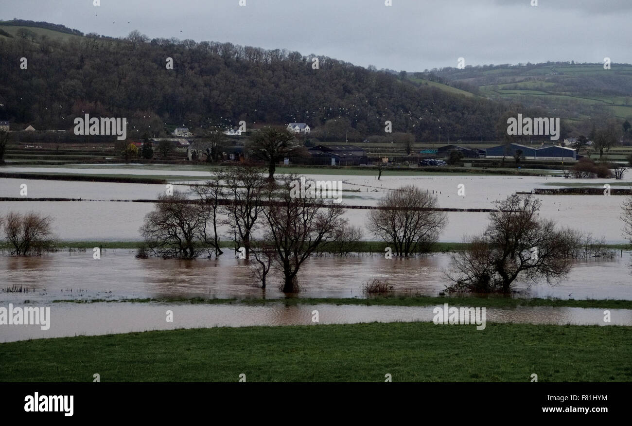 South Wales, UK. 4th December 2015. Prolonged rain falling on saturated land has left low lying agricultural areas flooded. The river Towy bursts its banks flooding surrounding farmland near Carmarthen, south Wales, UK. Viewed from A40. Credit:  Algis Motuza/Alamy Live News Stock Photo