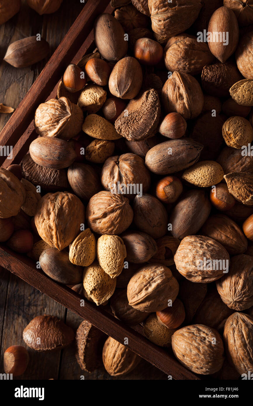 Assorted Mixed Organic Nuts with Walnuts Almonds and Pecans Stock Photo