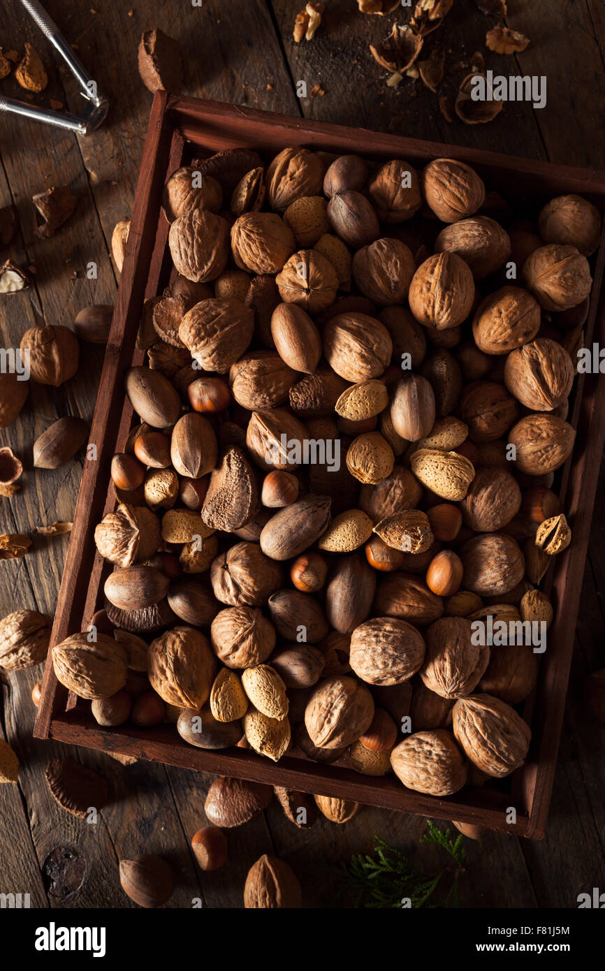 Assorted Mixed Organic Nuts with Walnuts Almonds and Pecans Stock Photo