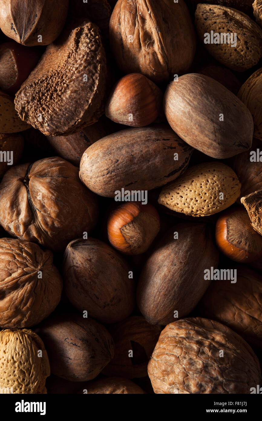 Assorted Mixed Organic Nuts with Walnuts Almonds and Pecans Stock Photo