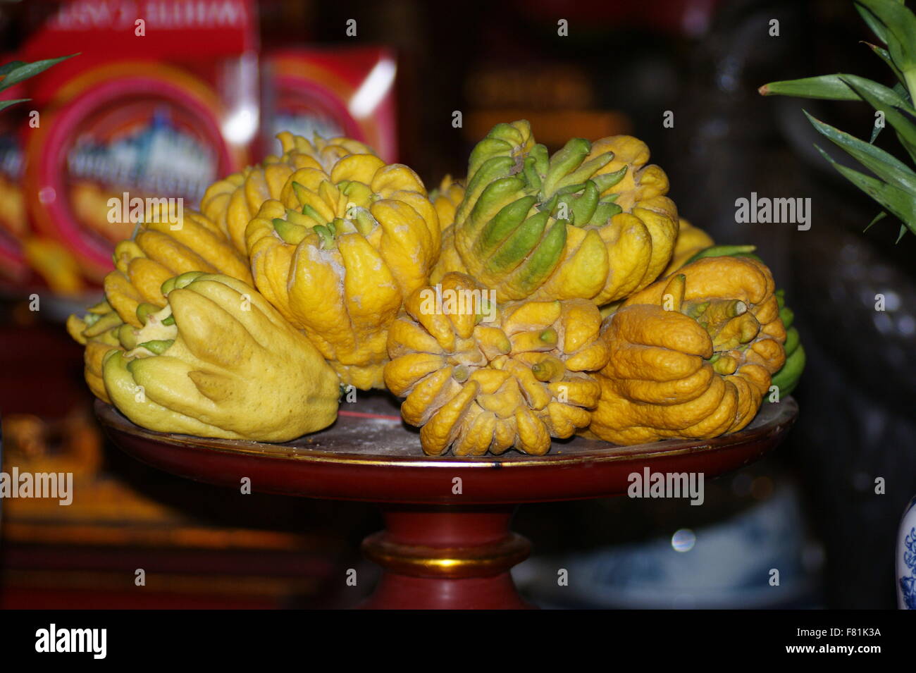 Buddha's hand, Citrus medica var. sarcodactylis, fingered citron Stock Photo