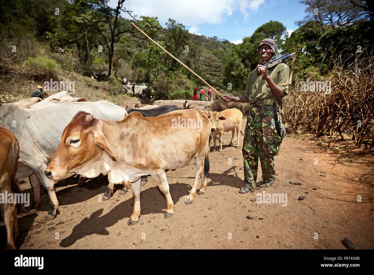 Cattle drover hires stock photography and images Alamy