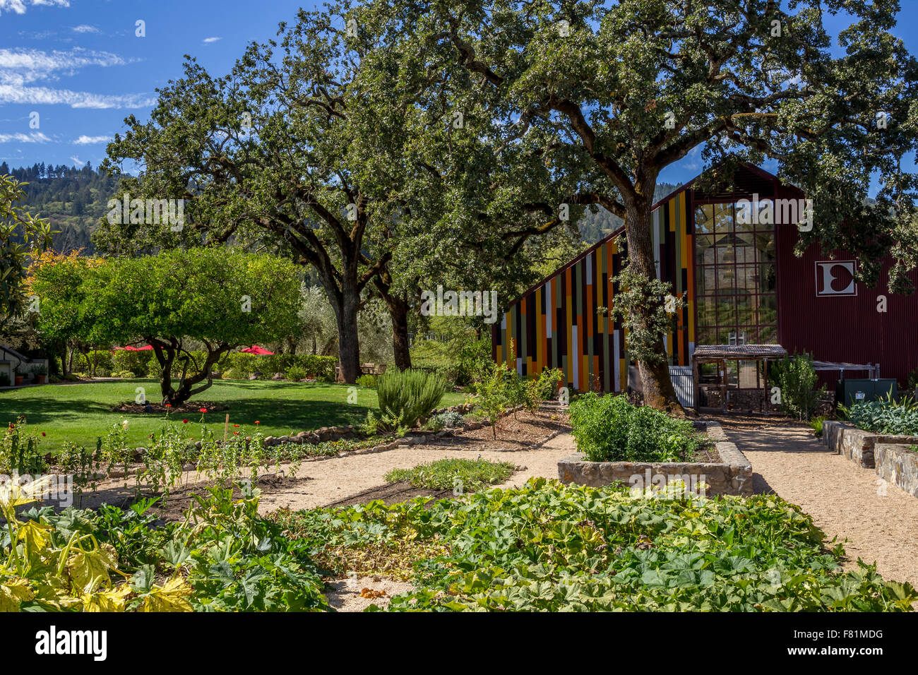 Ehlers winery online