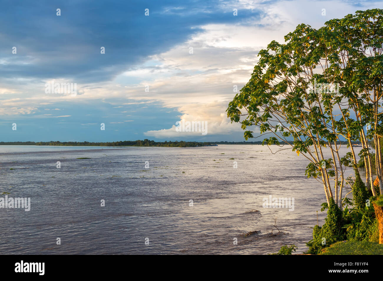 View of the Amazon River near Tabatinga, Brazil Stock Photo