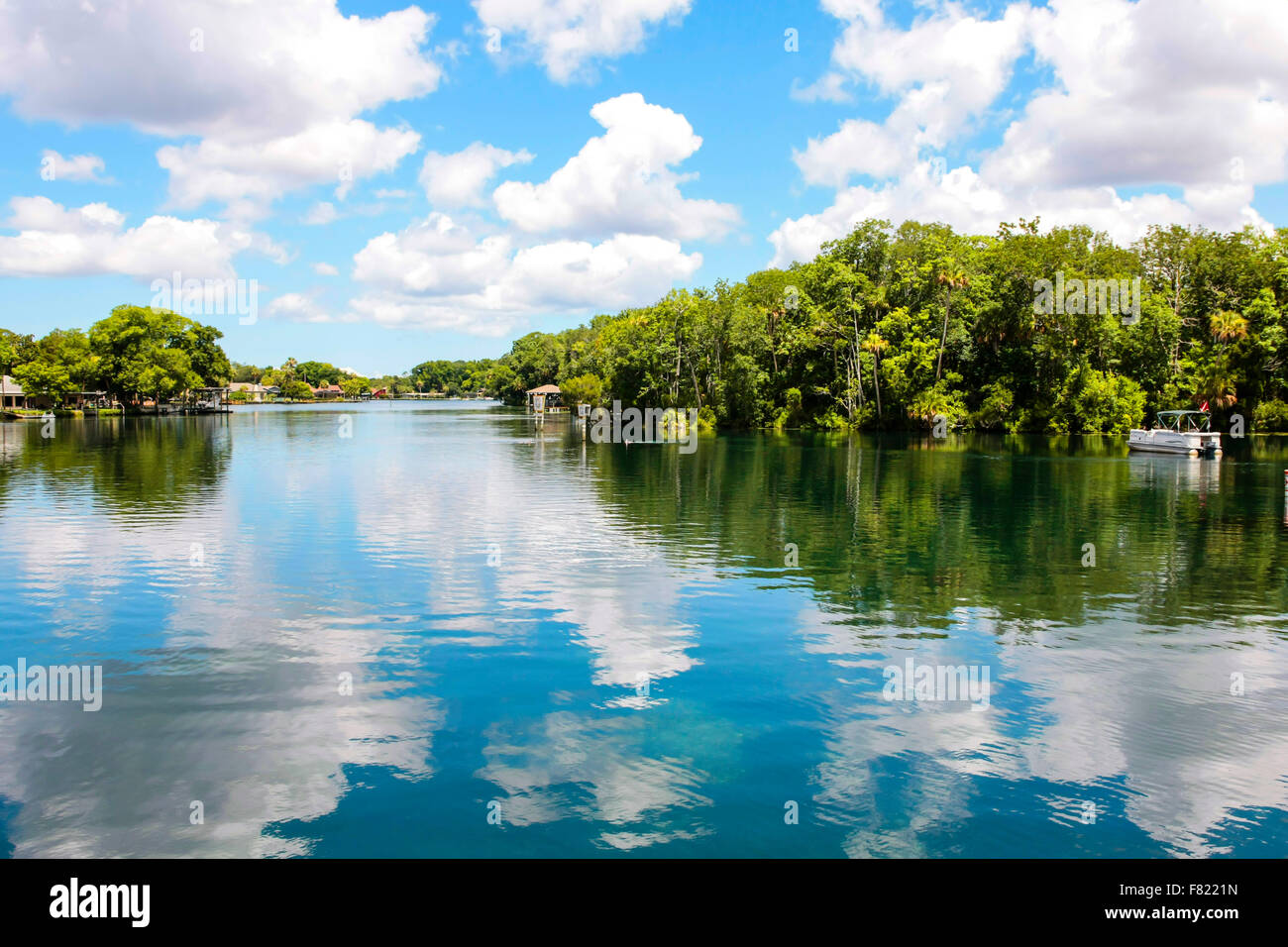 Homosassa River and tributaries running into the Gulf of Mexico in