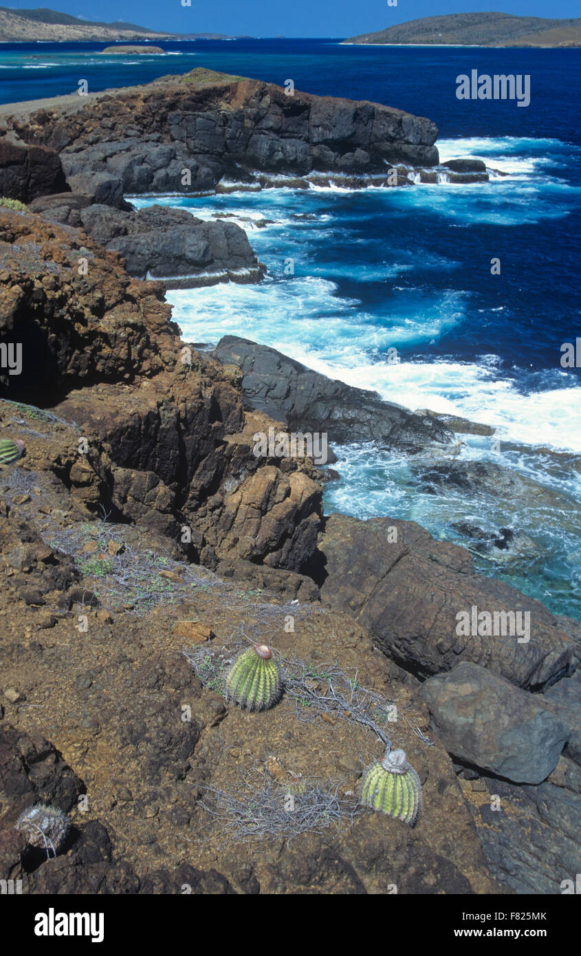 Scenic coast, Culebra Island, Puerto Rico. Stock Photo