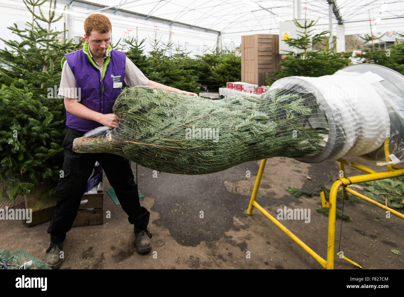 Wyevale garden centre hires stock photography and images Alamy