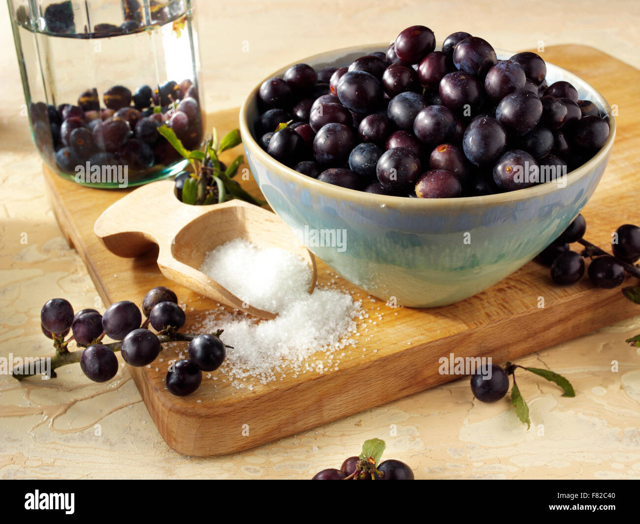 Fresh sloe blackthorn berry fruits Stock Photo