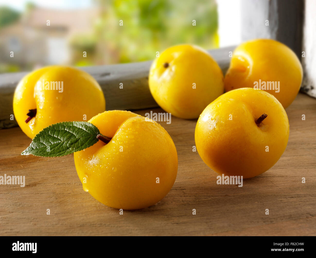 Close up of fresh whole uncooked yellow Golden plums (Prunus domestica ) Stock Photo