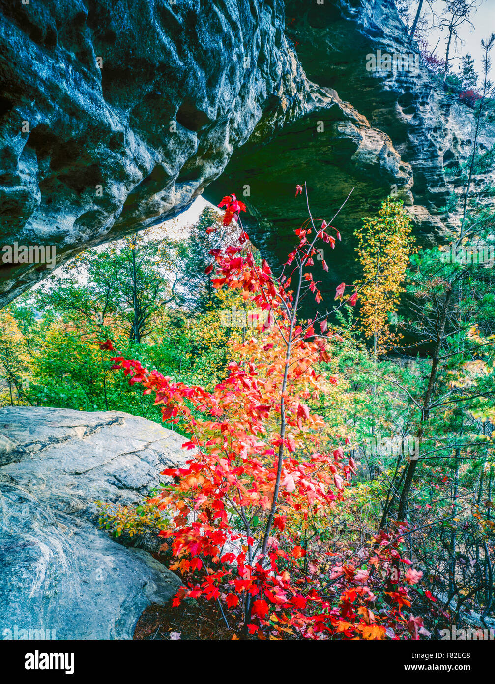 Natural arch, Daniel Boone National Forest, Kentucky Stock Photo