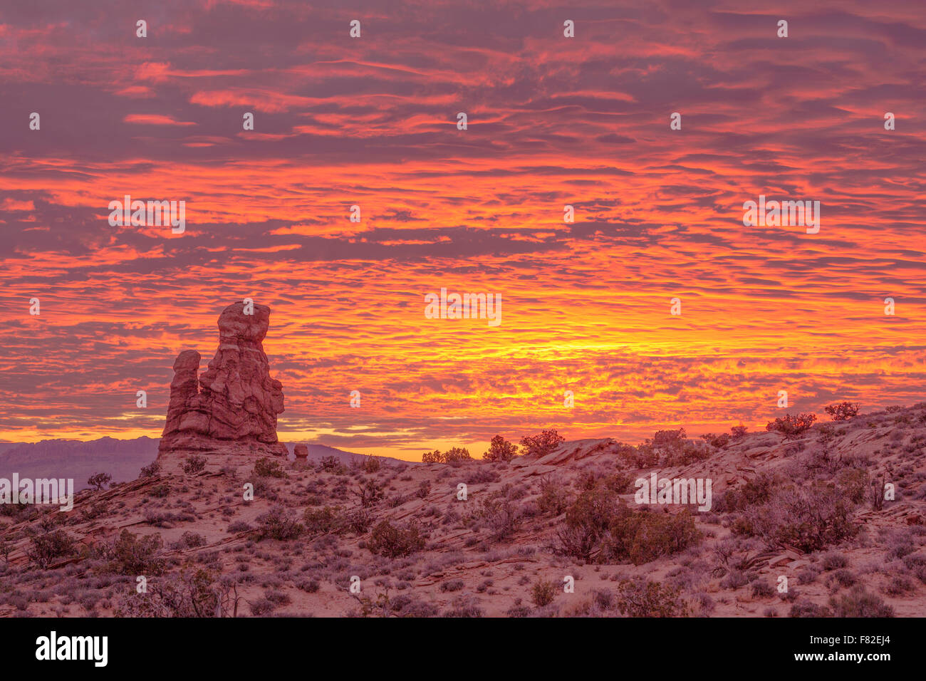 Sunset near the Garden of Eden, Arches National Park, Utah, Colorado River, Moab, Utah, Entrada sandstone Stock Photo