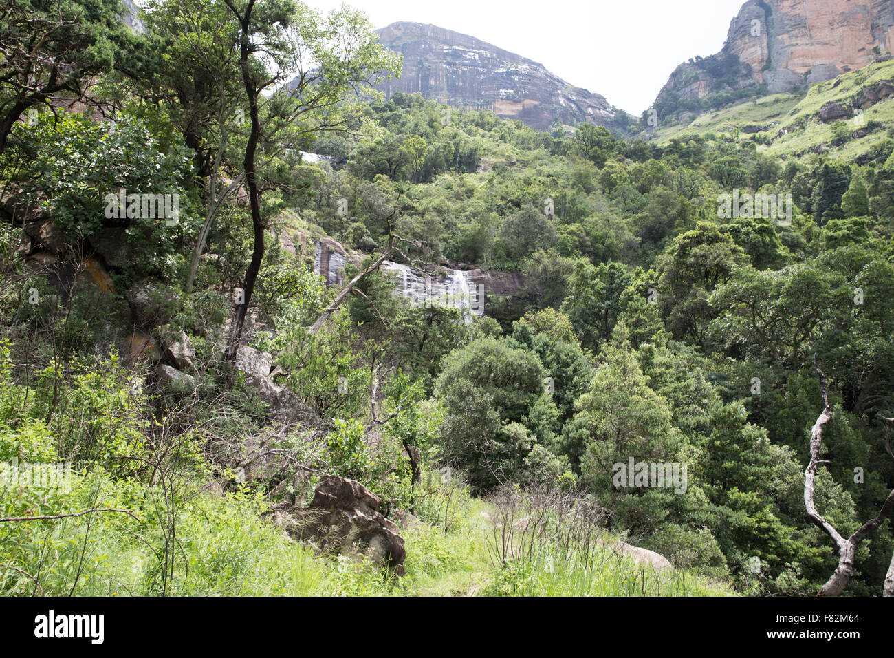Panoramic view of the Drakensberg National Park in Kwazulu Natal Stock ...