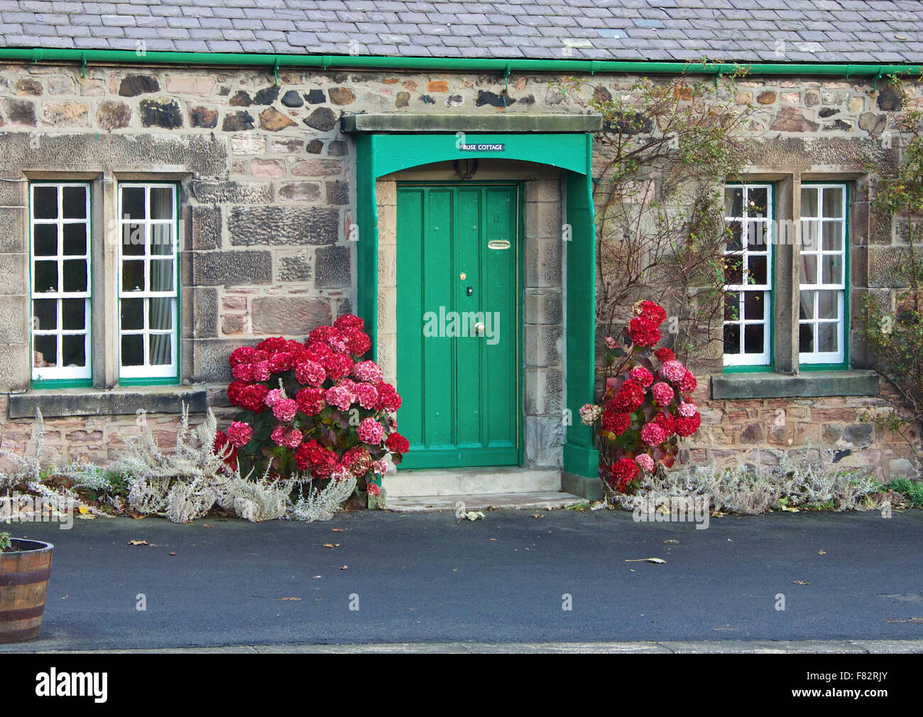Green door of cottage in Northumberland Stock Photo