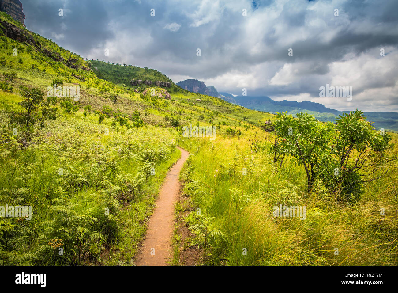Panoramic view of the Drakensberg National Park in Kwazulu Natal Stock ...