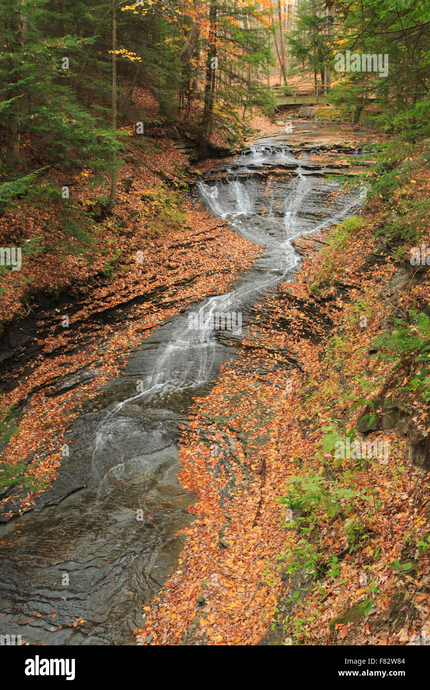 Bridal Veils Falls in the Fall, Bedford Reservation, Cleveland, Ohio