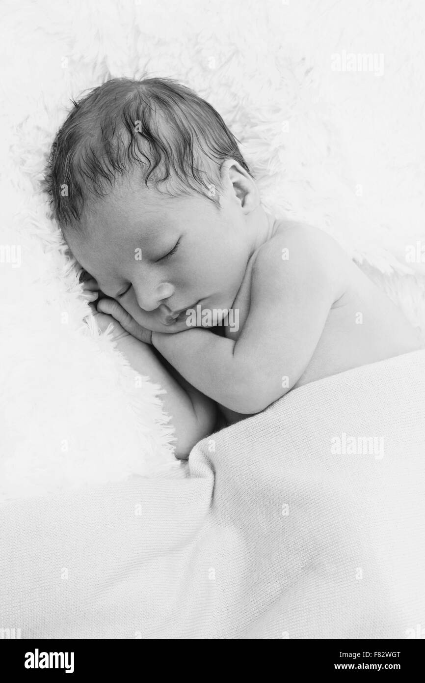 Sleeping newborn baby Stock Photo Alamy