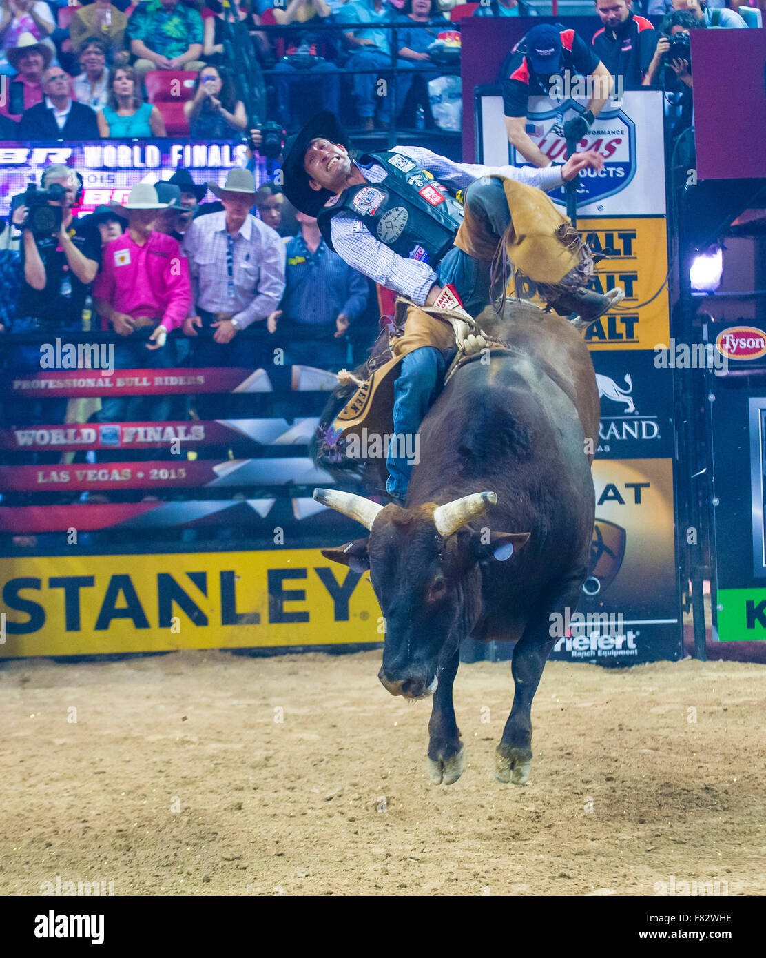 Cowboy Participating in the PBR bull riding world finals. The bull