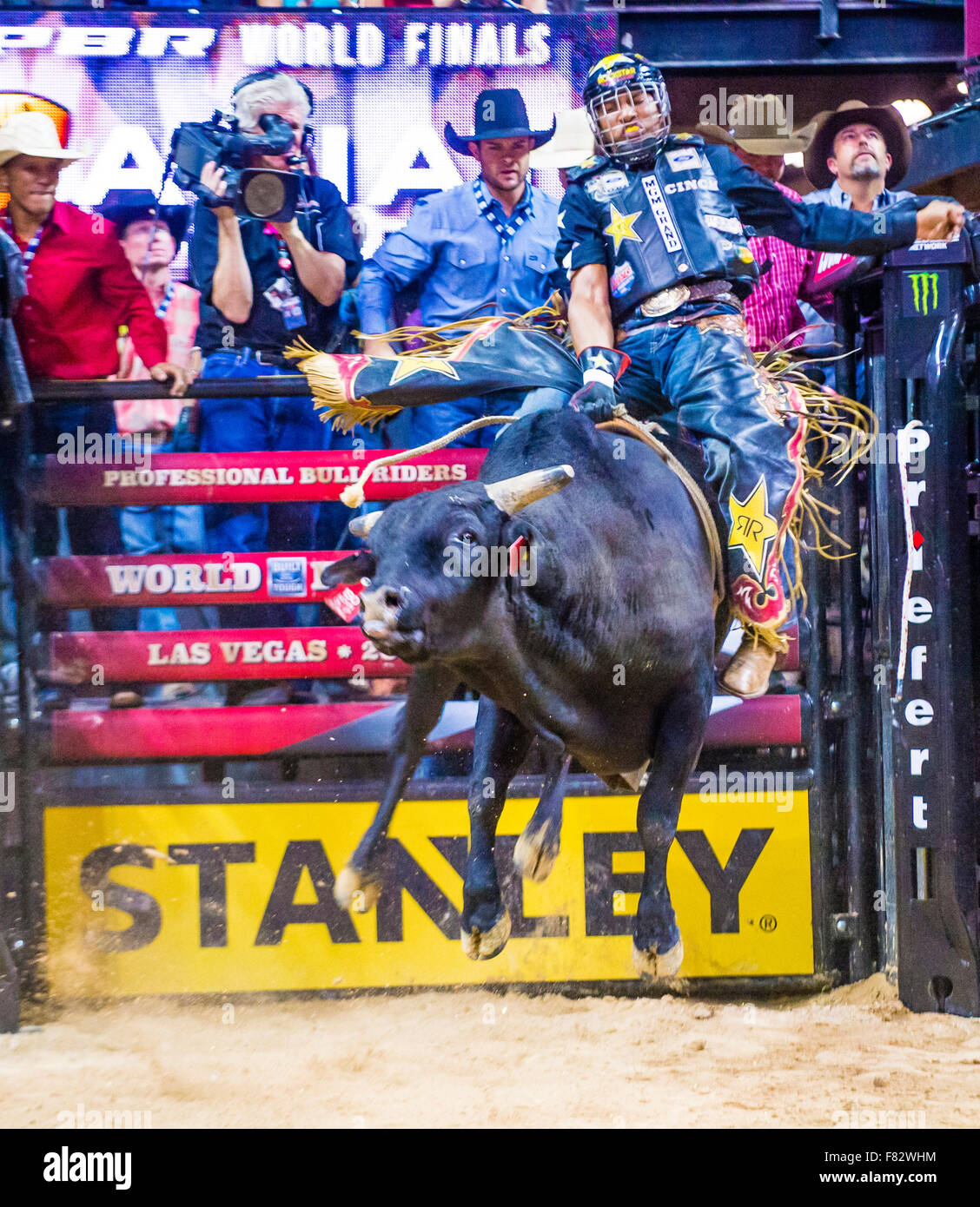 Cowboy Participating in the PBR bull riding world finals. The bull