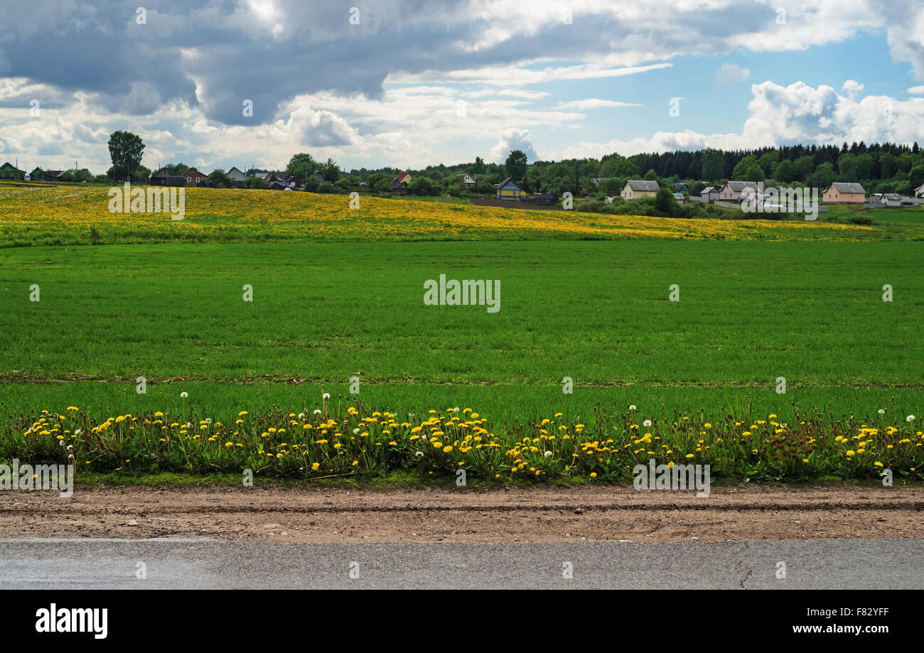 Asphalt road through spring field with dandelions Stock Photo - Alamy
