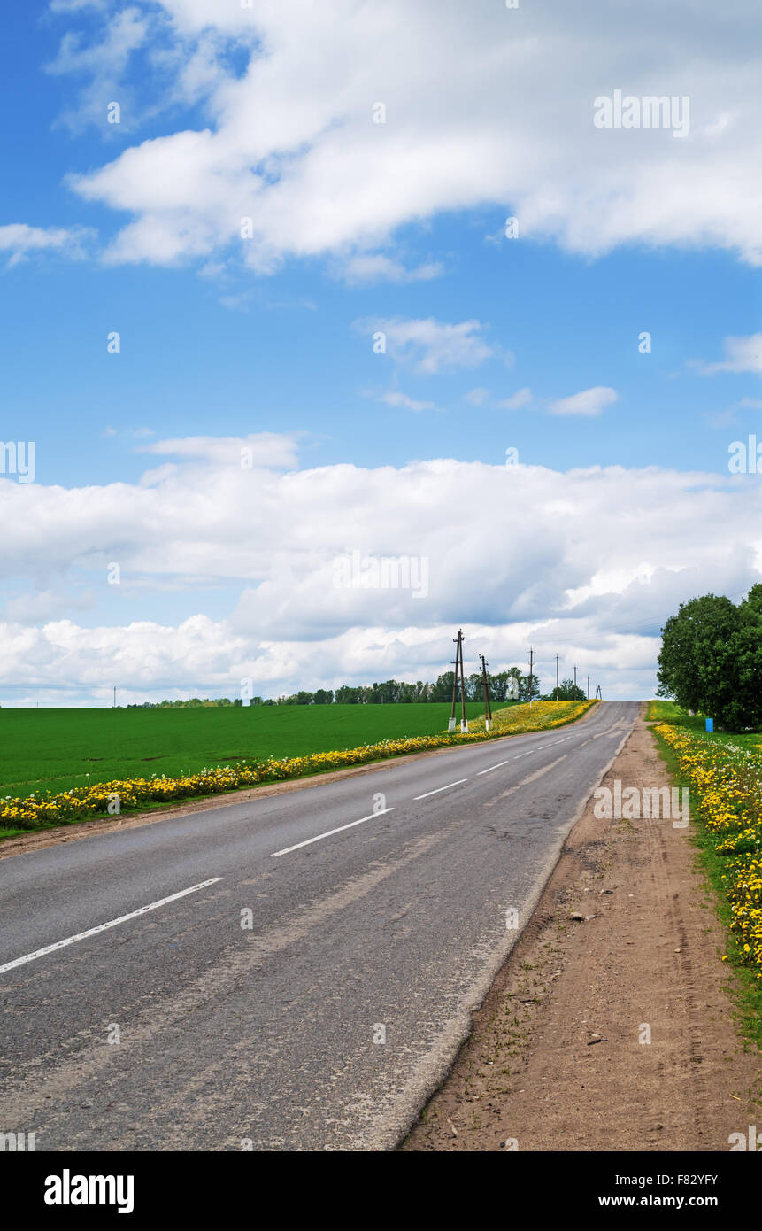 Asphalt road through spring field with dandelions Stock Photo - Alamy