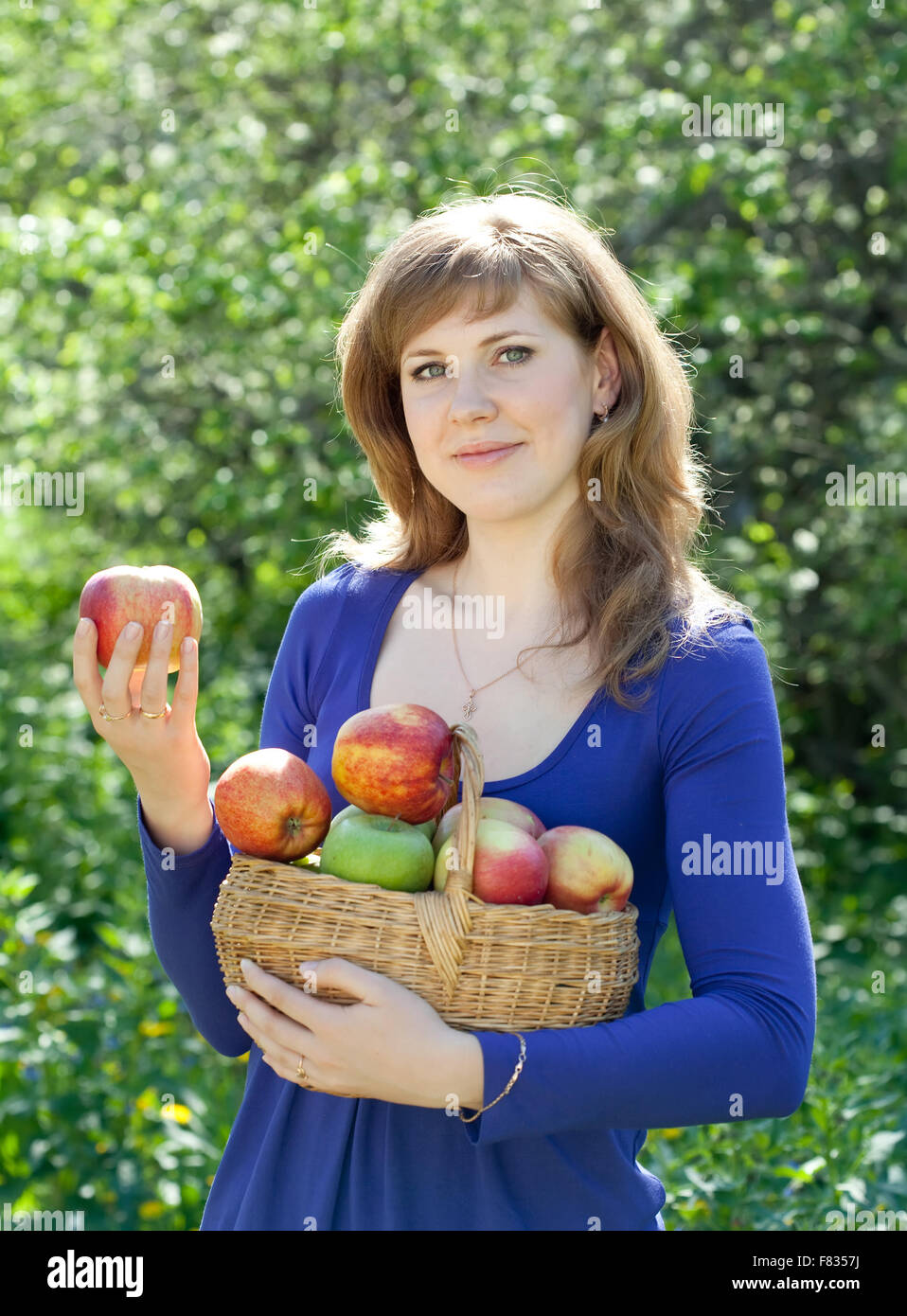 Женщина собрала в саду яблоки. Красивые девушки собирают яблоки. Девушка на лестнице собирает яблоки. Фотосессия с яблоками в саду. Анатомия человек собирает яблоки.