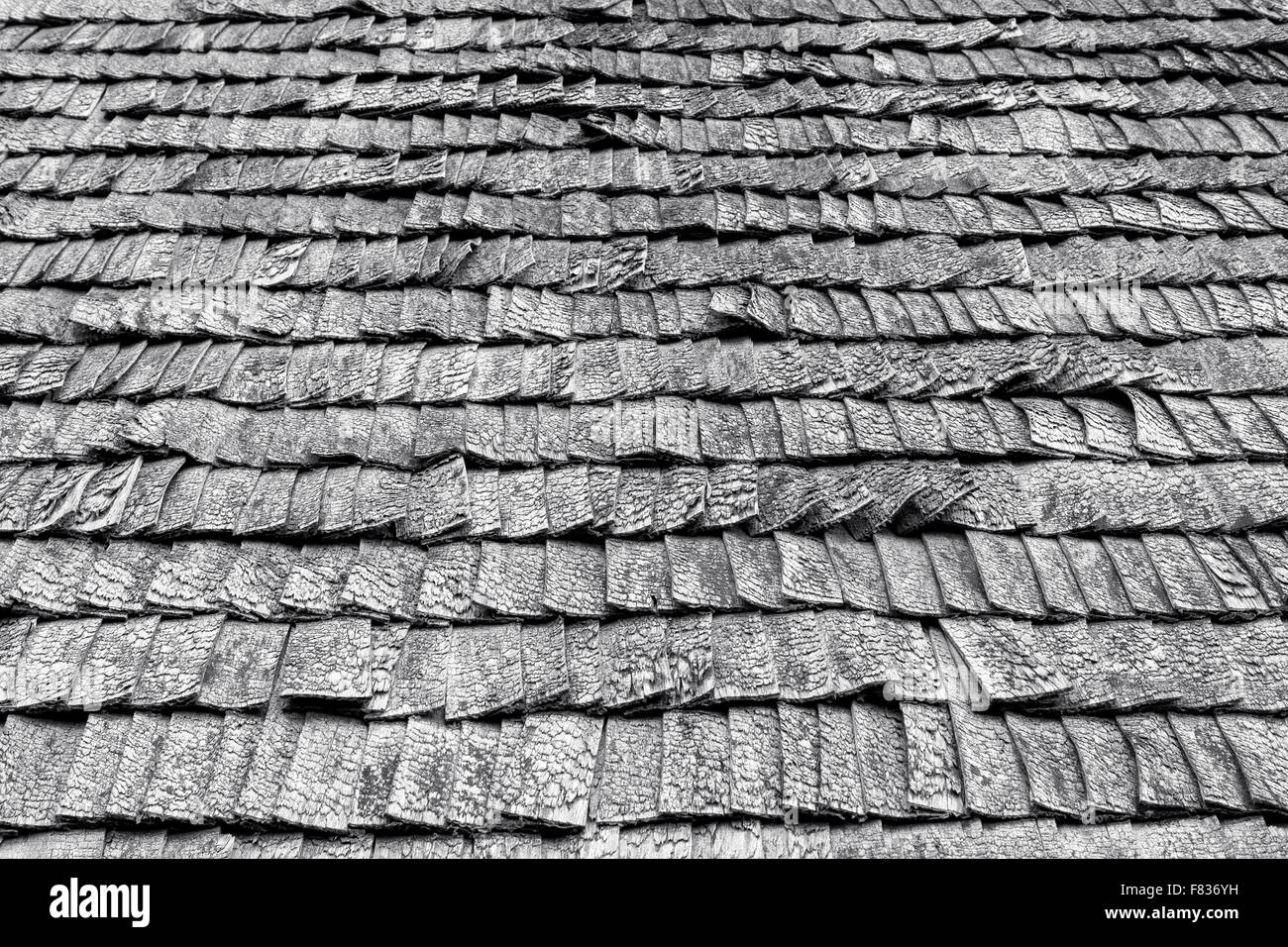 Black and white picture of weathered wooden roof tiles Stock Photo