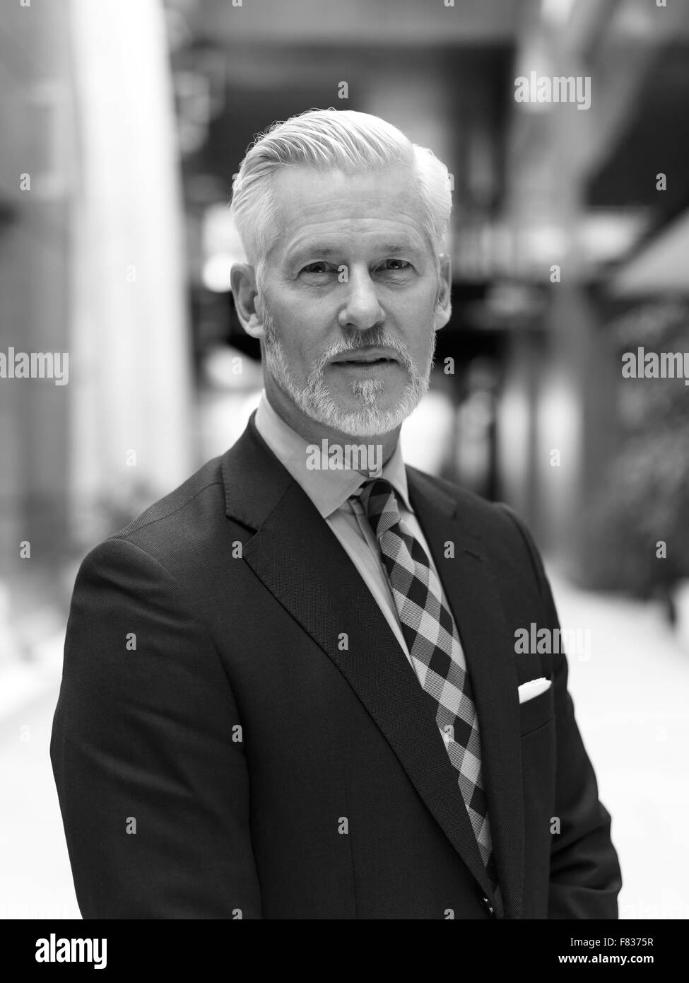 portrait of senior business man with grey beard and hair alone i modern office indoors Stock Photo