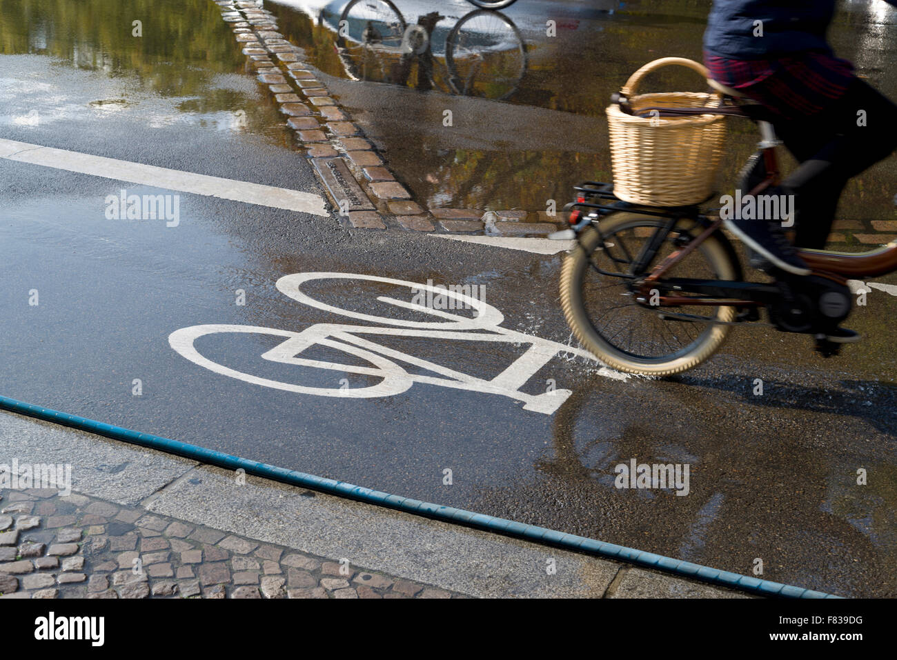 Bicycles in a marked bicycle lane in Berlin, Germany. Segregation of ...