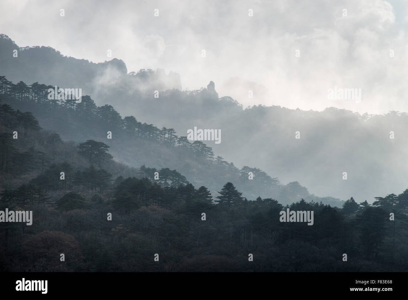 Yellow Mountains (Huangshan) - Low Cloud Anhui Province China LA008589 Stock Photo