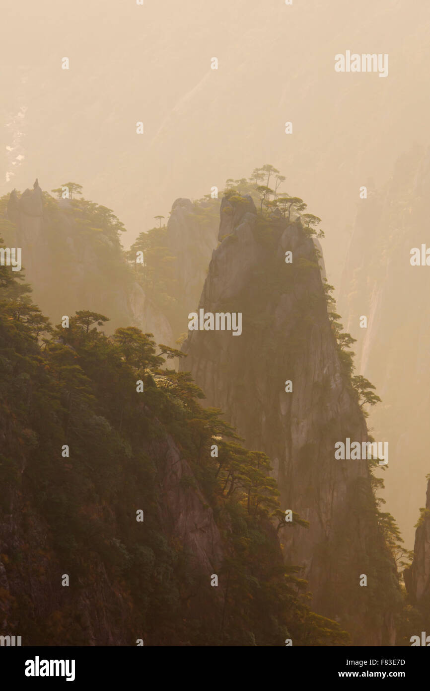 Backlit Trees and Mountains at Dawn Yellow Mountains (Huangshan) Anhui Province China LA008602 Stock Photo