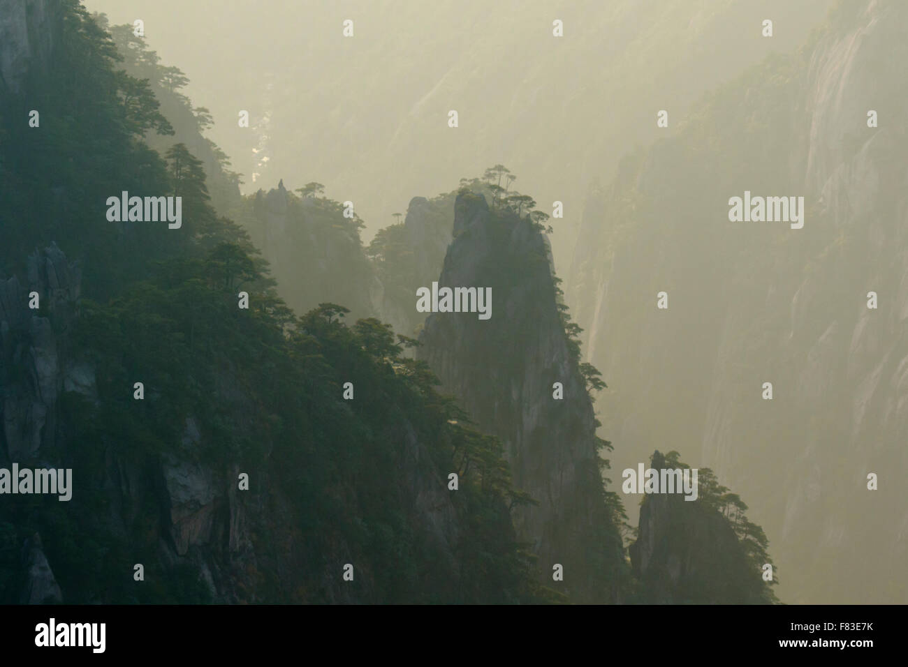 Backlit Trees and Mountains at Dawn Yellow Mountains (Huangshan) Anhui Province China LA008603 Stock Photo