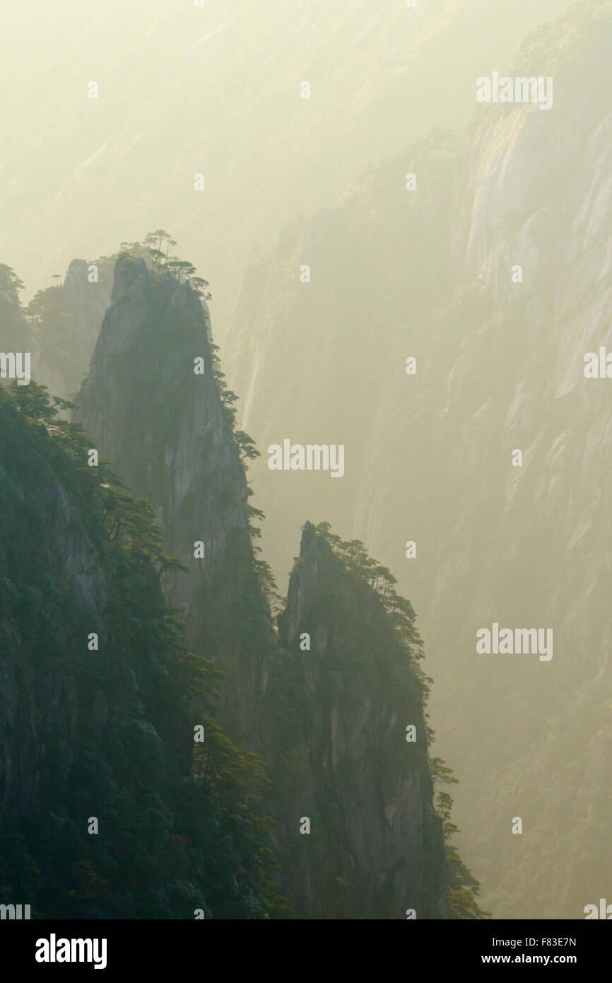 Backlit Trees and Mountains at Dawn Yellow Mountains (Huangshan) Anhui Province China LA008604 Stock Photo