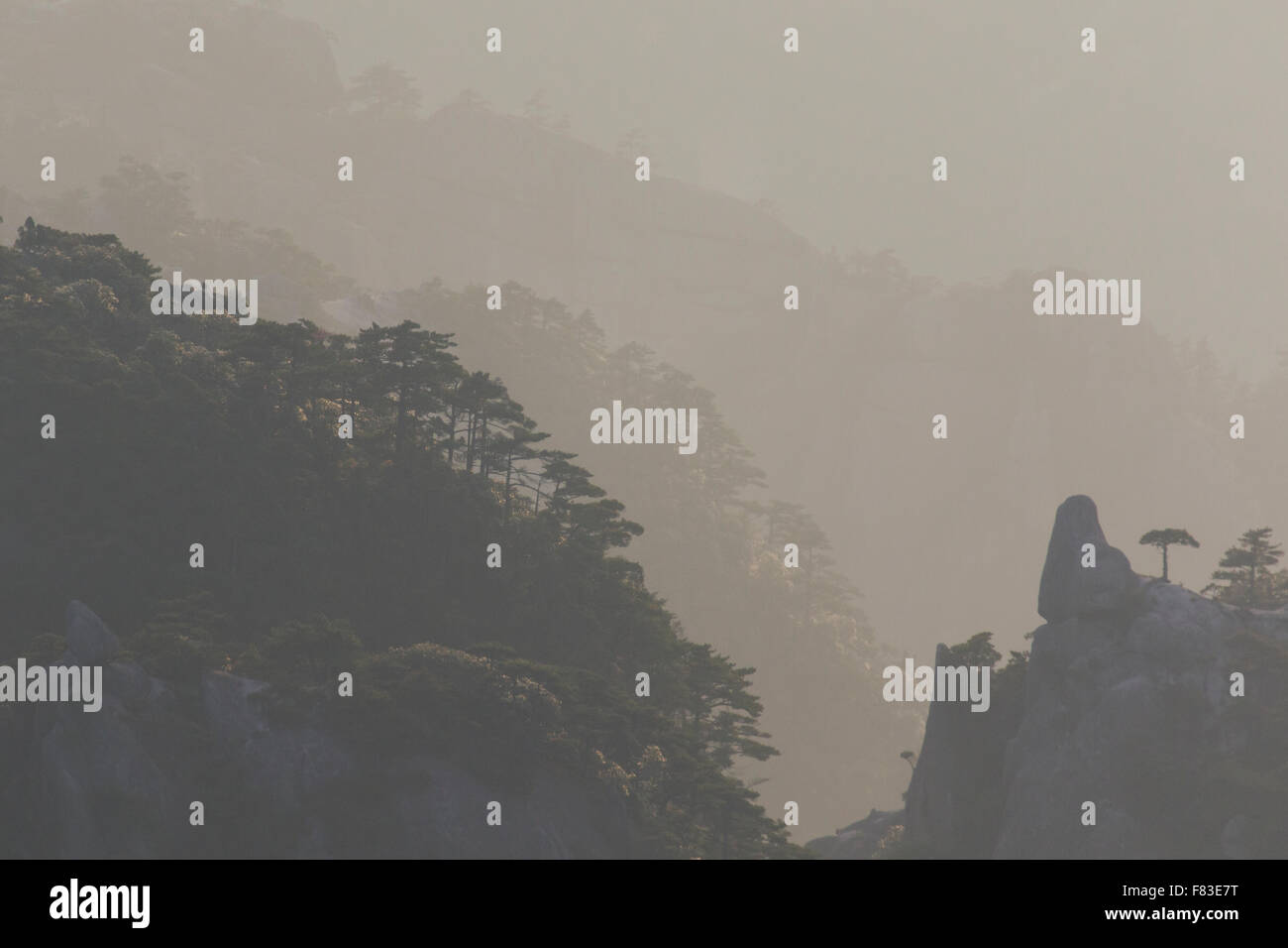 Backlit Trees and Mountains at Dawn Yellow Mountains (Huangshan) Anhui Province China LA008606 Stock Photo