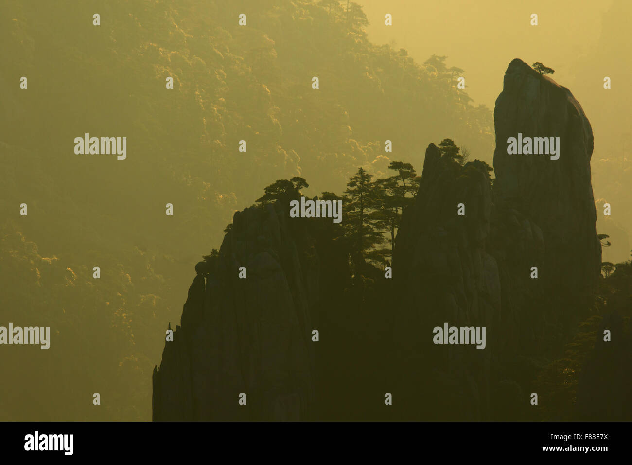 Backlit Trees and Mountains at Dawn Yellow Mountains (Huangshan) Anhui Province China LA008611 Stock Photo
