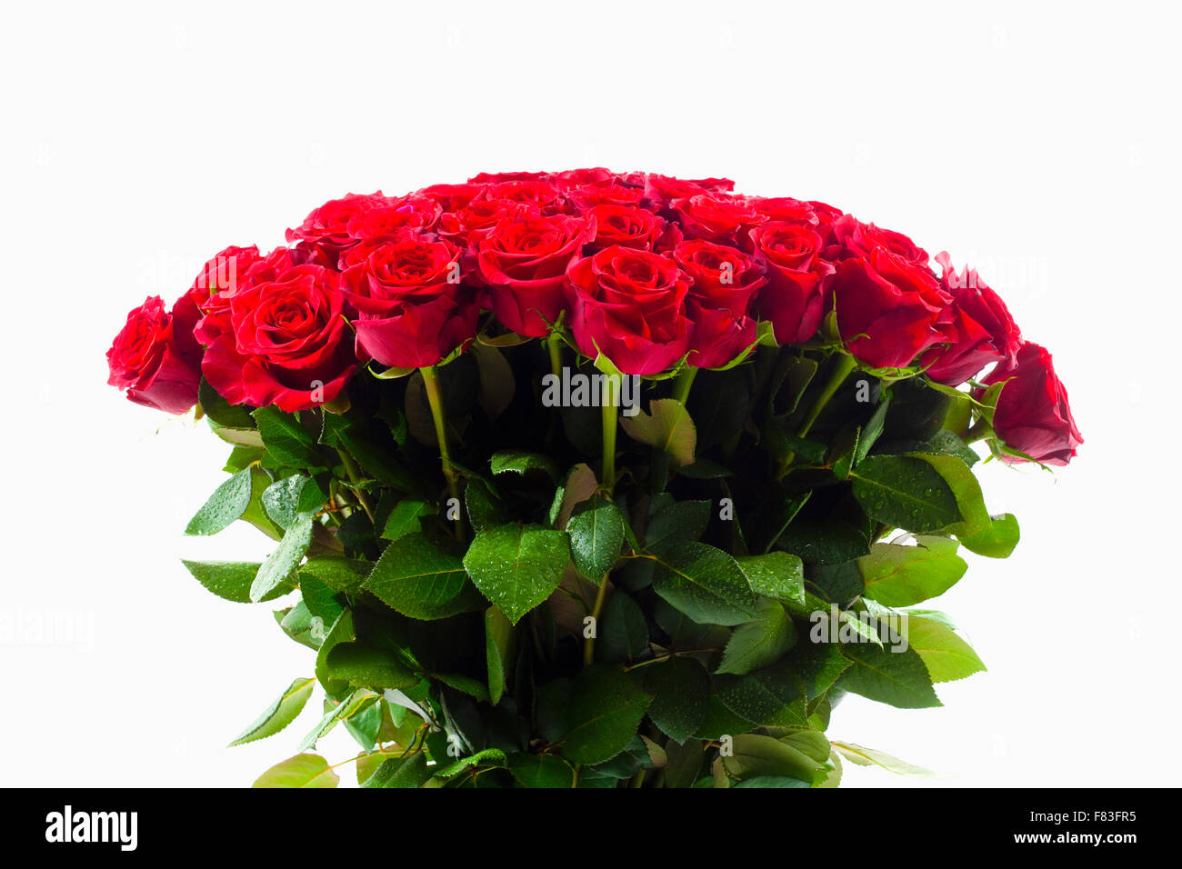 Bouquet of Red Roses - Isolated on White Stock Photo - Alamy