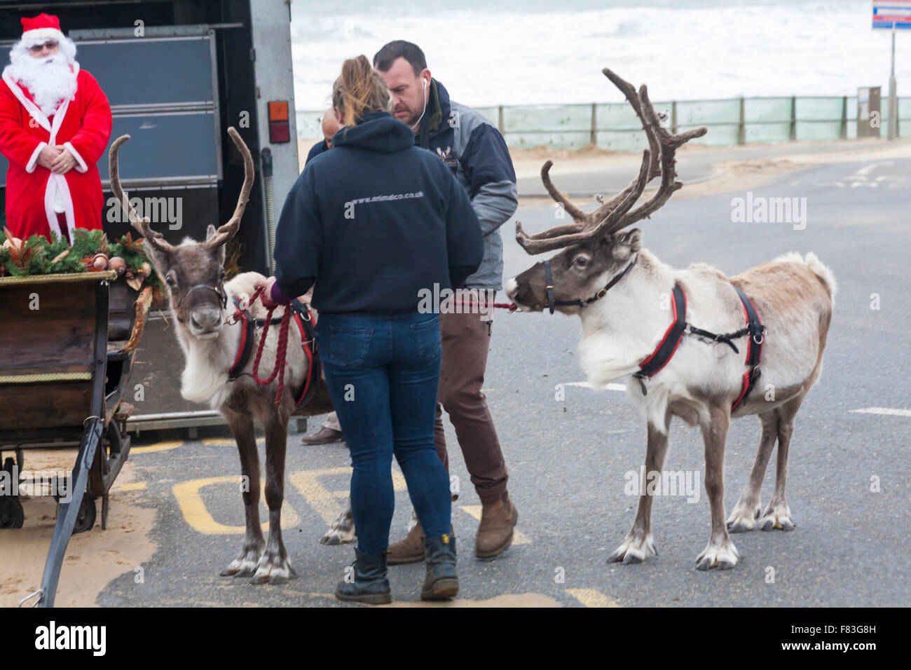 Bournemouth, Dorset, UK. 5th Dec, 2015. Father Christmas, aka Santa Claus, with his reindeer getting ready to pull the sleigh at Boscombe Pier for the parade into Boscombe centre. Credit:  Carolyn Jenkins/Alamy Live News Stock Photo