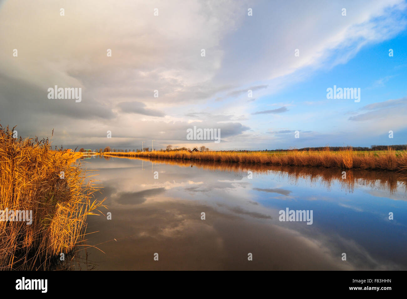 Typical dutch landscape with grassland, reeds, ditches and spectacular clouds. Stock Photo